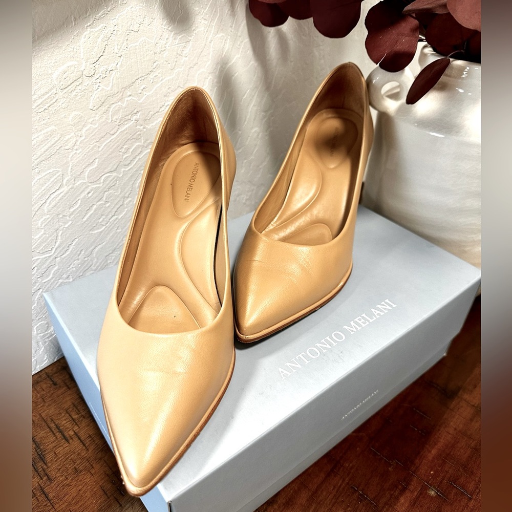 Antonio Melani ELLEN pointed Toe pumps